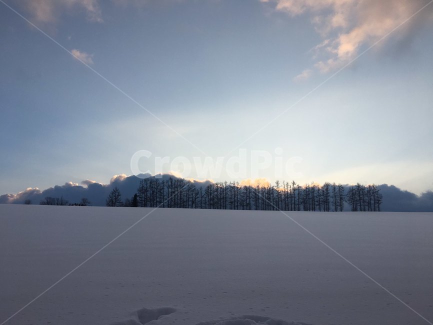 겨울,설경,눈,snow,winter,겨울,계절,winter,season,자연,풍경,nature,landscape,outdoors,옥외