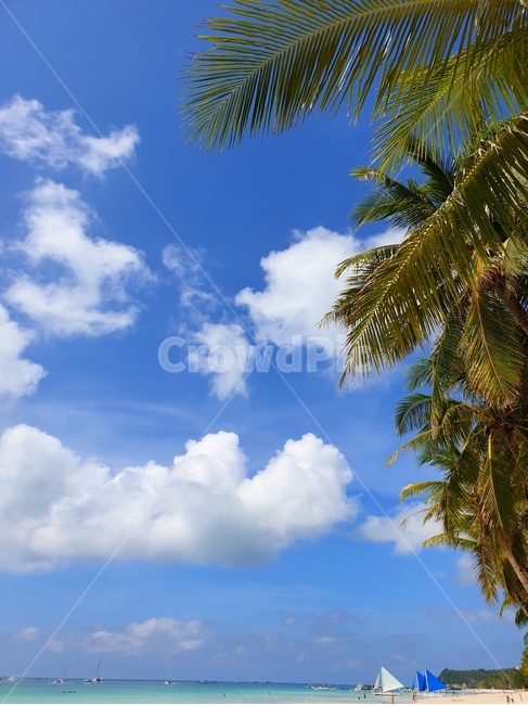 구름,cloud,palmtree,야자수,돛단배,해변,화이트비치,whitebeach,보라카이,boracay,여름,summer,emerald,에메랄드,자연,nature,하늘,sky,바다,ocean,여유,leisure,낭만,모래사장,sandybeach,sunny,맑은,화창한