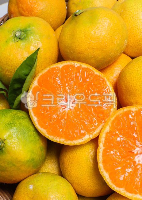 귤,감귤,오렌지,만감류,천혜향,한라봉,주황색,과일,citrusfruit,감귤류과일,food,음식,그레이프프루트,fruit,겨울과일