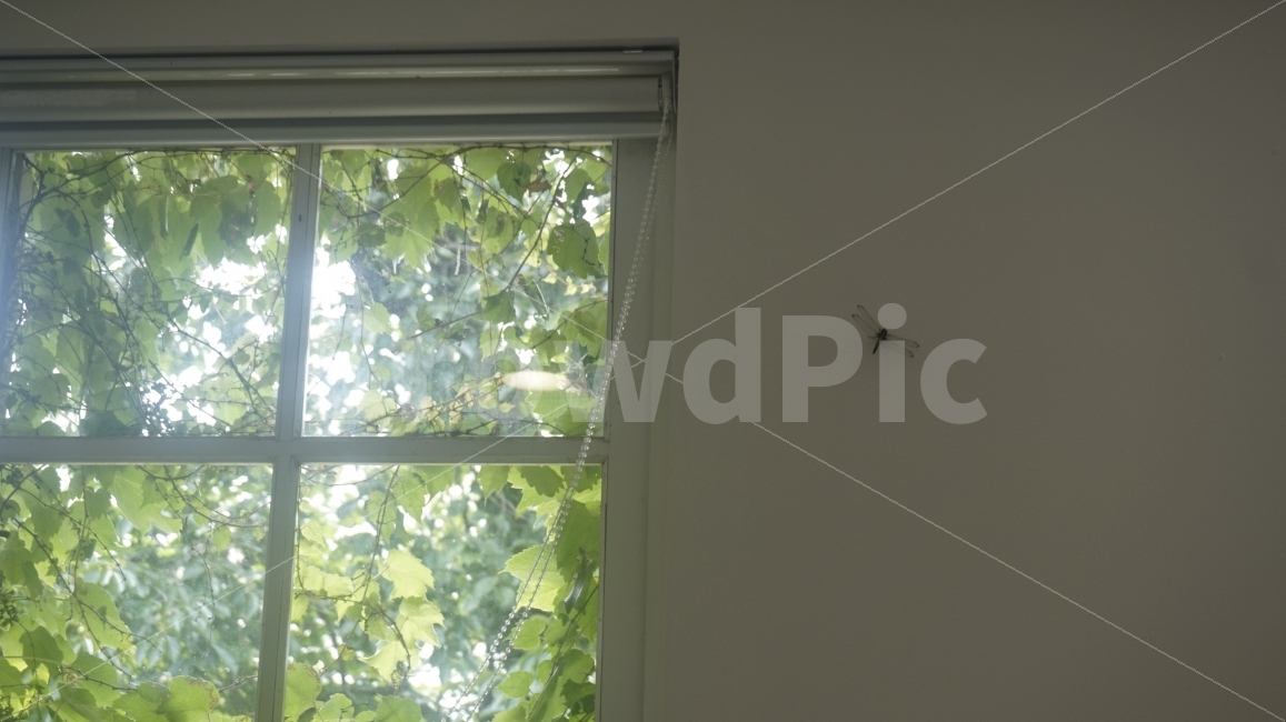 당진,아미미술관,미술관,창문,빛,풀,잠자리,감성,인테리어,실내디자인,interior design