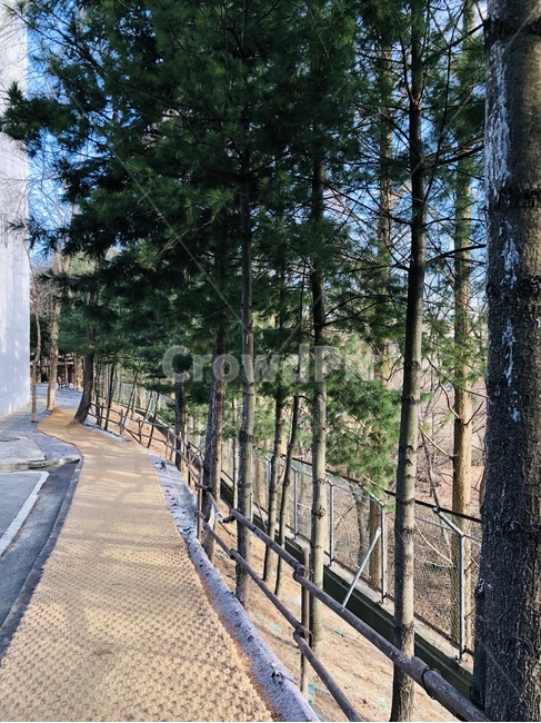 나무,공원,산책,산책로,쉼터,조깅,자연,풍경,nature,landscape
