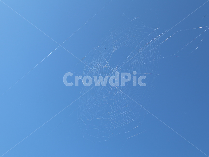 spiderweb,거미줄,하늘,파란색,흰색,sky,자연,풍경,nature,landscape