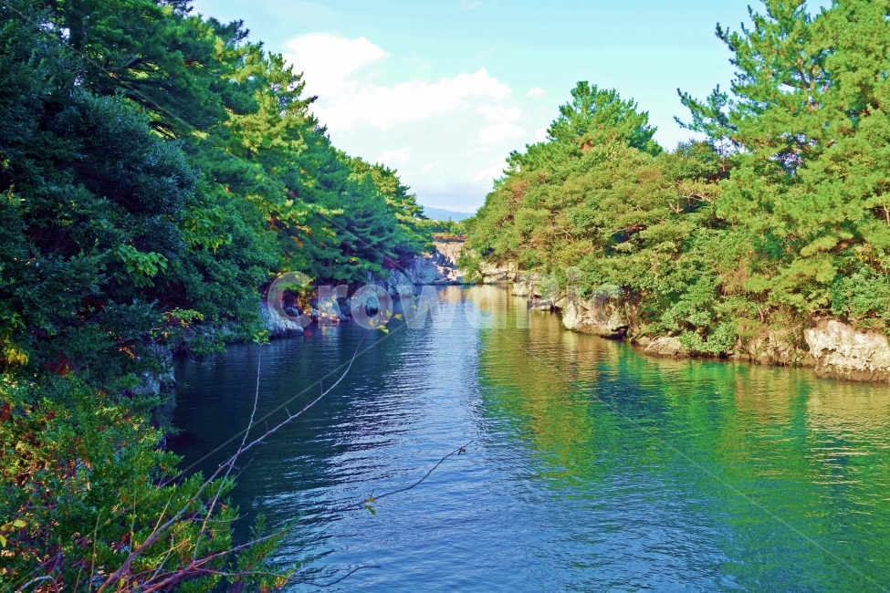 제주도,쇠소깍,하천,소나무,숲,민물,제주,제주도여행,제주여행,여행,자연,풍경,경치,아름다운,전망,그림,같은,뷰,추천,여행지,관광지,흰,구름,하늘,푸른,나무,녹색,풀,잎,해안,절벽,돌,바위,자연,풍경,nature,landscape,water,물,outdoors,옥외
