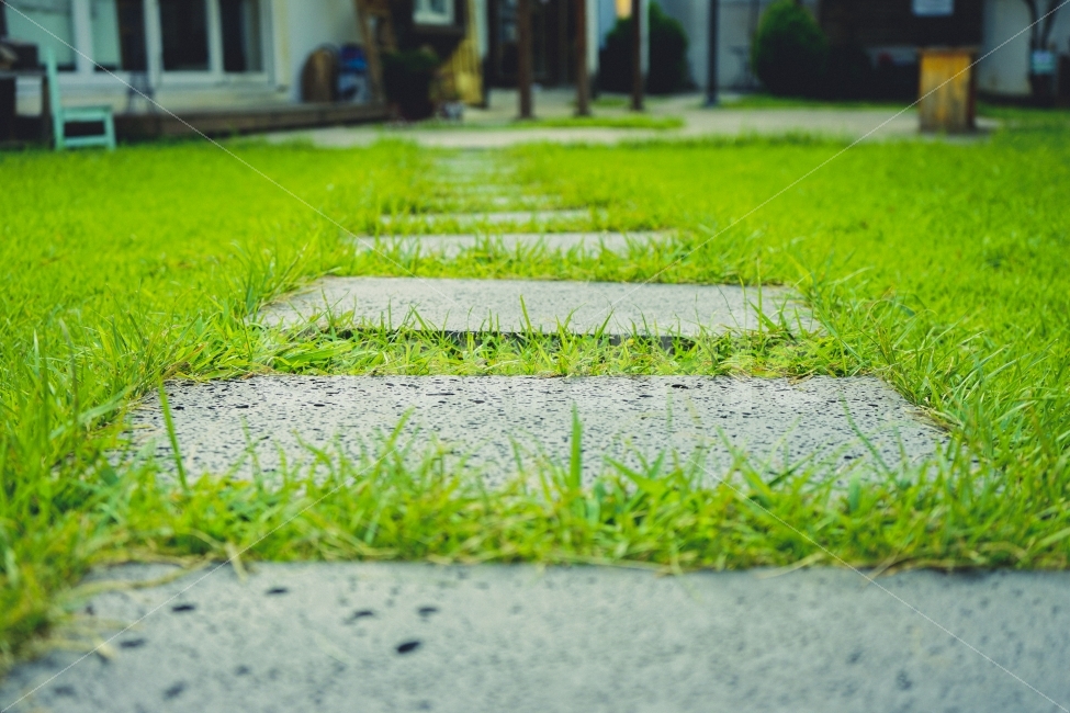 감성사진,가을,풍경사진,길,휴식,힐링,식물,자연,plants,nature