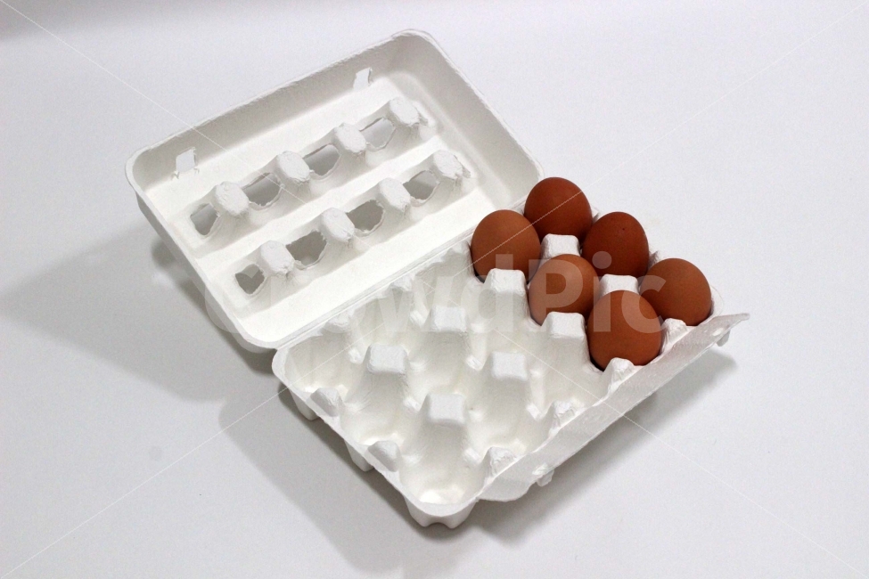 계란,달걀,단백질,음식,건강식,신선,닭,알,요리,음식,식재료,요리,food,cook,meal,dishes,food reserves,누끼,remove background