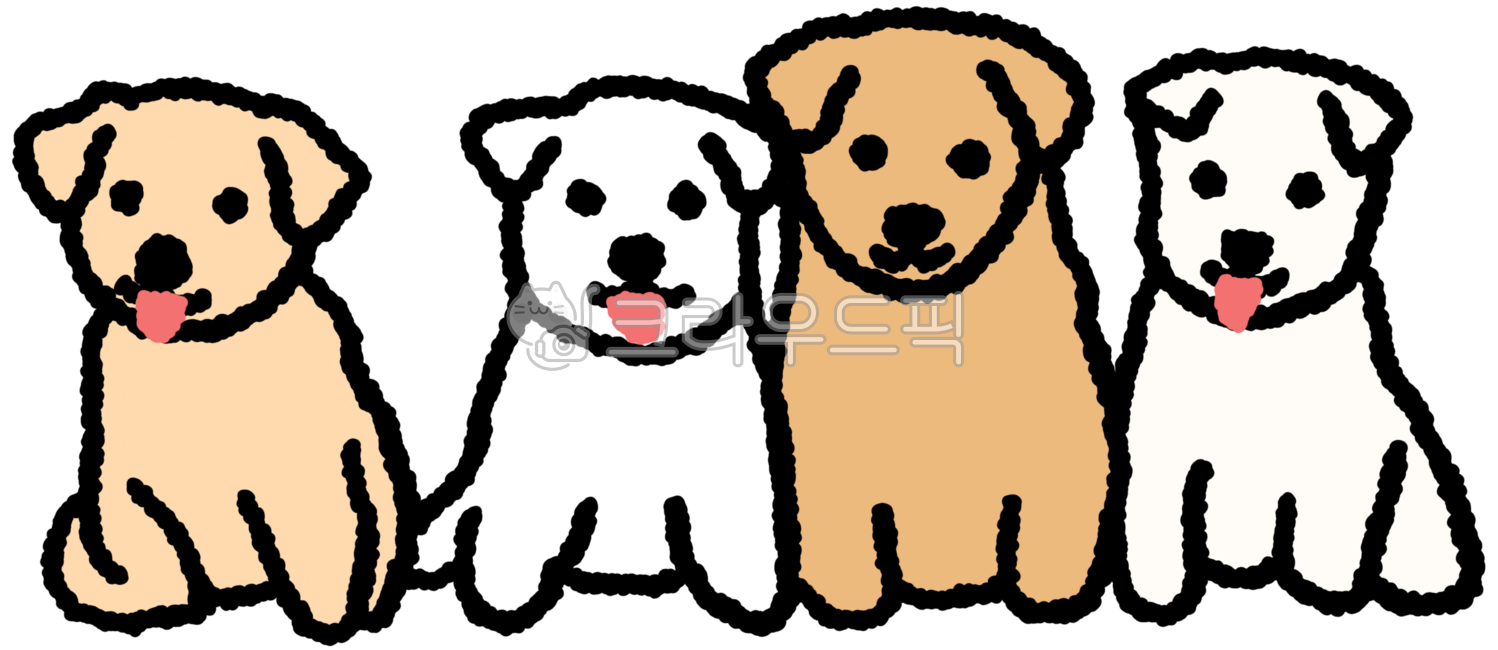 강아지,개,반려견,반려동물,진돗개