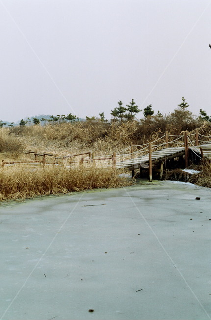 소래,갯벌,바다,폐허느낌,필름카메라,감성사진,다리,자연,풍경,nature,landscape,building,건물