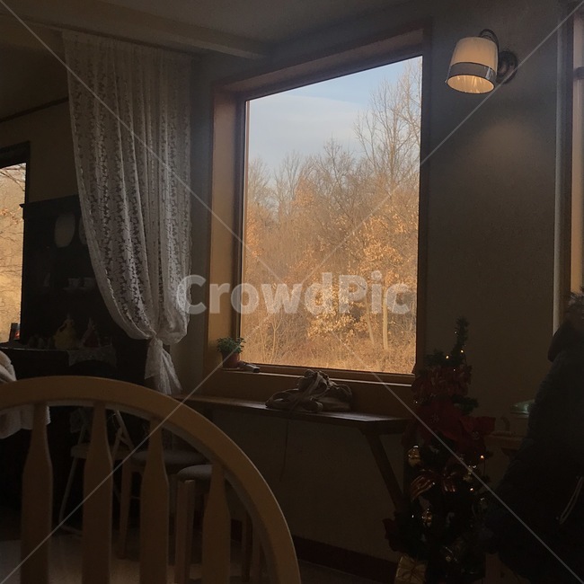 나무,wood,트리,커튼,tree,카페,cafe