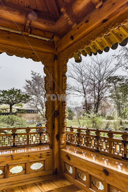 용인호암미술관,정자,관음정,정원,후원,풍경,봄,관광지