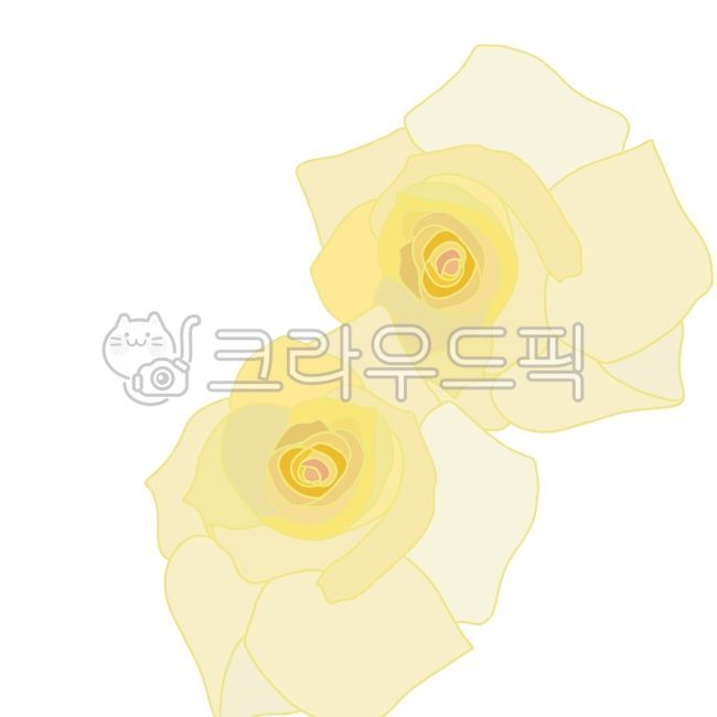 노랑,flower,꽃,꽃잎,장미,rose,gmlstor,축하,아름다움