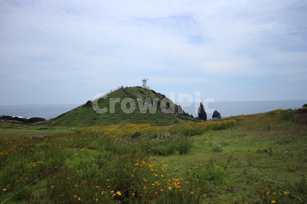 제주도,섭지코지,제주도관광지,제주,바다,등대,제주바다,한국,한국관광지,자연,대자연,풍경,섬,해안,해안로,산책,산책길,산책로,꽃,들판,휴가,힐링,피톤치드,풀,하늘,경관,경치,jeju,jejudo,sea,jejudosea,korea,korean,walk,walking,picnic,nature,koreasightseeingspots,lighthouse,scenery,제주도,jeju,jeju island,outdoors,옥외,hill,언덕