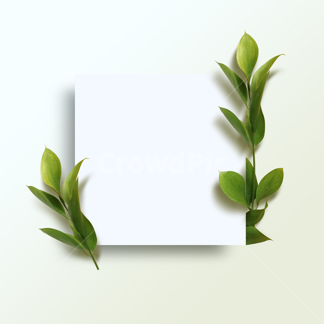 백그라운드,식물,자연,계절,봄,꽃,배경,배경이미지,내추럴,flower,nature,flora,background,풀잎,잎,잎사귀,프레임