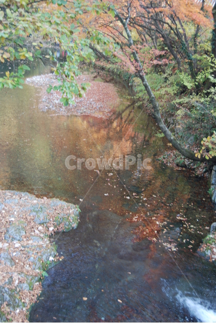 백암산,가을,자연휴양림,탐방로,공원,가을,계절,fall,autumn,season,자연,풍경,nature,landscape,한국자연풍경,한국자연경관,korea nature landscape,water,물,outdoors,옥외,land,땅