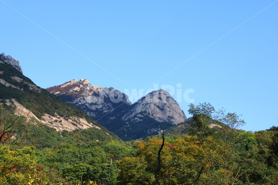 북한산,산,자연,풍경,나무,공원,국립공원,산책로,등산로,만경대,노적봉,북한산국립공원,하늘,맑은하늘,식물,자연,풍경,nature,landscape