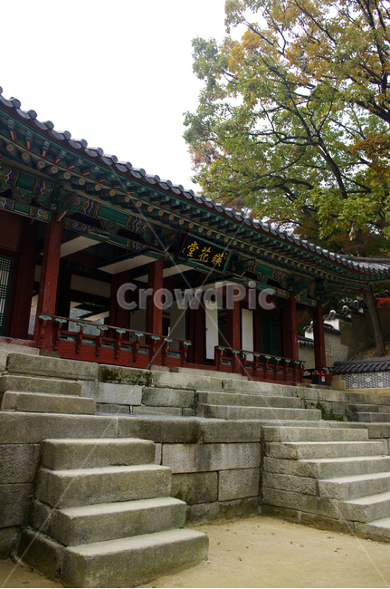 창덕궁,영화당,고궁,건축,전통건축,traditional,전통,단청,기와지붕,계단,가을,계절,fall,autumn,season,한국전통,한국문화,korean traditional,korean culture,건축물,건물외관,exterior,building,structure,architecture,construction,건물,temple,신전,worship,예배,shrine,신사,pagoda,탑,staircase