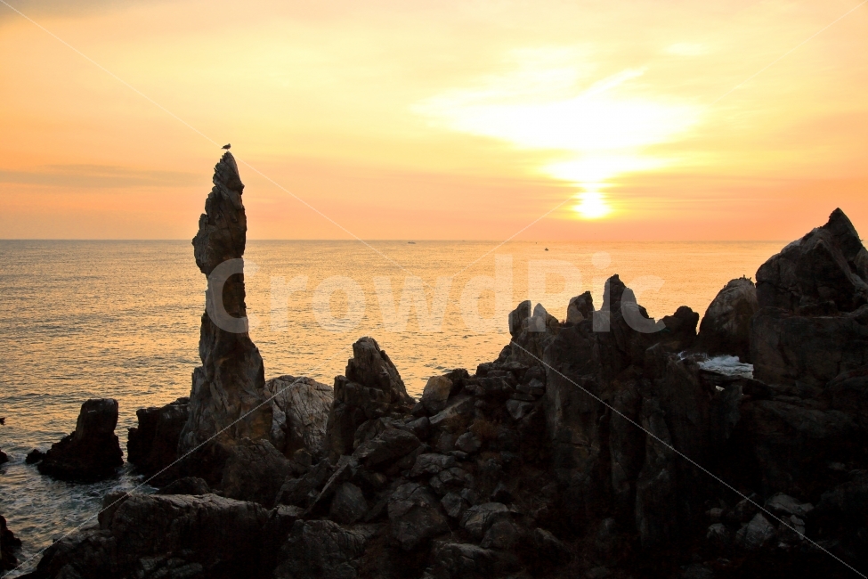 추암해변,촛대바위,동해안,일출,갈매기,자연,풍경,nature,landscape,한국자연풍경,한국자연경관,korea nature landscape,promontory,곶