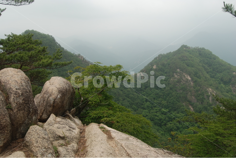 도락산,국립공원,탐방로,여름,자연,휴양림,자연,풍경,nature,landscape,outdoors,옥외
