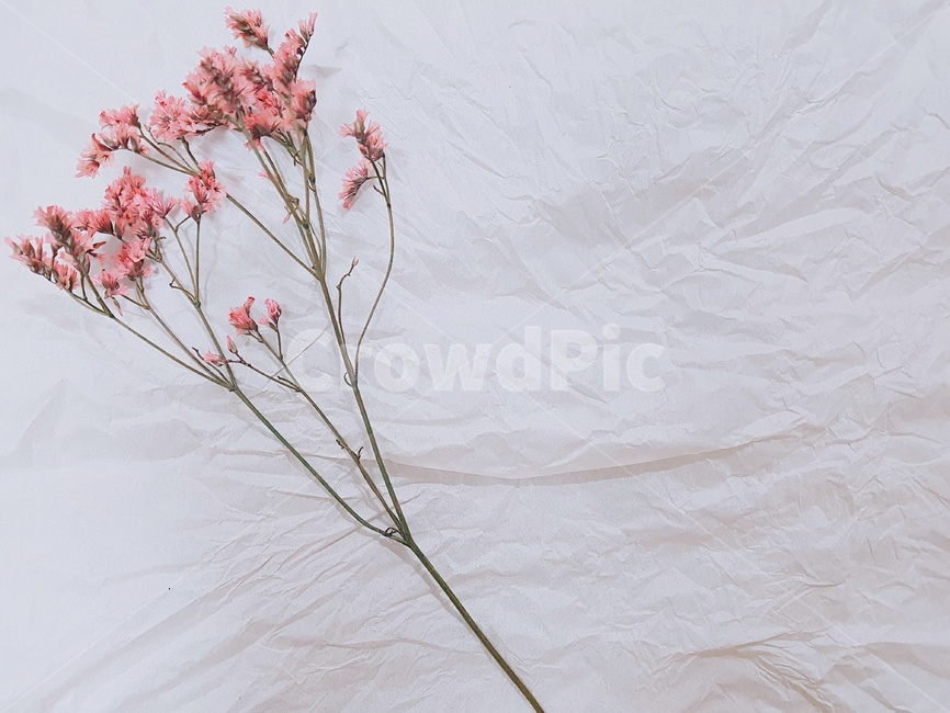 조화,꽃,꽃송이,꽃한송이,조화재료,라벤더,꽃나무,flower,花