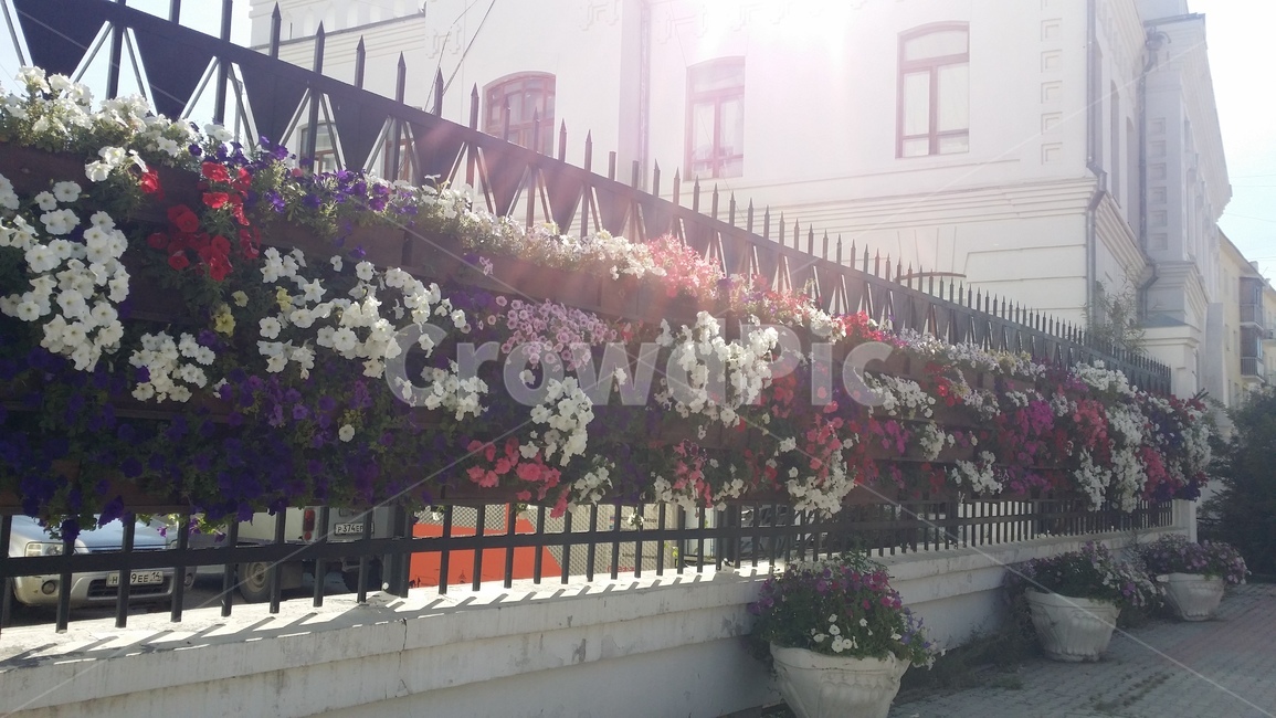 러시아,야쿠츠크,사하공화국,꽃,거리,russia,yakutsk,street,건축물,건물외관,exterior,building,structure,architecture,construction