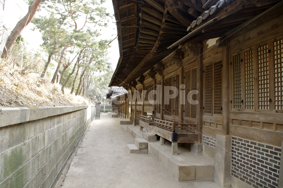 전통,한옥,tradition,architecture,건축물,wood,한국전통,한국문화,korean traditional,korean culture
