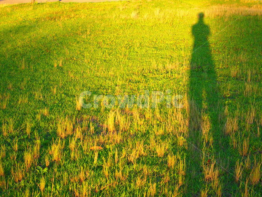 오후,잔디,그림자,풀,공원,사람,인물,인간,human,person,인물실루엣,사람실루엣,character silhouette,human silhouette,grassland,목초지,outdoors,옥외,field,들,nature,자연,farm,농장,rural,농촌,meadow