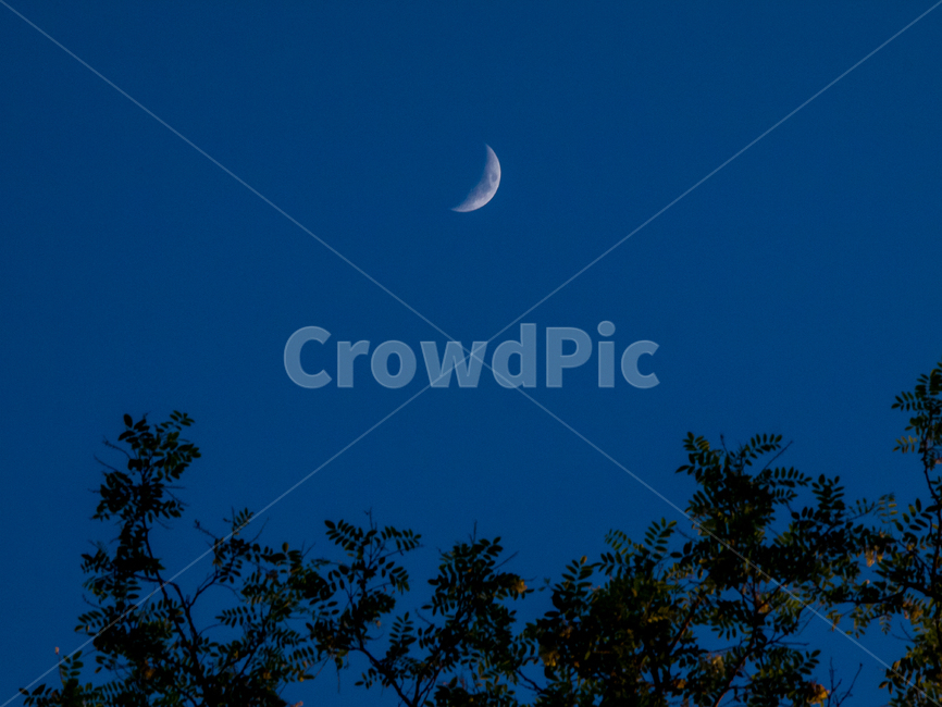 하늘,달,밤,풍경,sky,moon,night,landscape,나무,tree,야경,밤,풍경,nightscape,night,landscape,nature,자연,outdoors,옥외