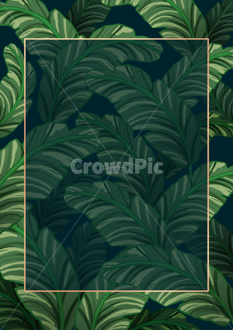 식물,열대식물,프레임,식물일러스트,타이틀프레임,타이틀,illustration,틀,graphic,nature,frame,title,초대장,청첩장,초록,브로슈어,잎사귀,잎,자연,보태니컬,botanical,금테두리,브로셔