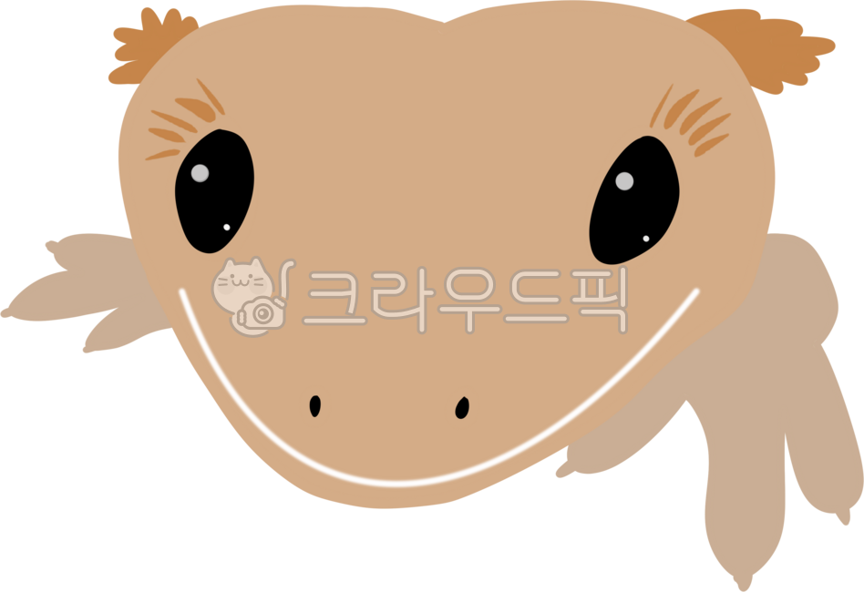 크레스티드게코,크레,도마뱀,파충류,웃는도마뱀,웃는파충류,사료먹는도마뱀,눈썹도마뱀,볏도마뱀,볏