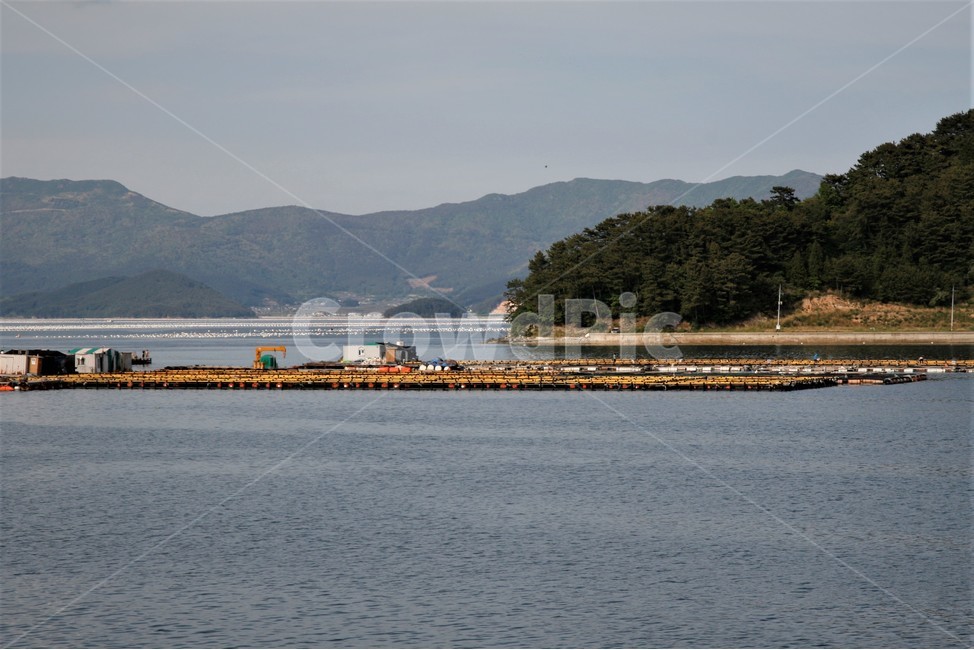 남해,바다,가두리,양식장,풍경,자연,풍경,nature,landscape,산업,industry,industrial,어업,fishery,fishing industry,land,땅,outdoors,옥외,ocean,대양,sea,water,물,shoreline,해안선