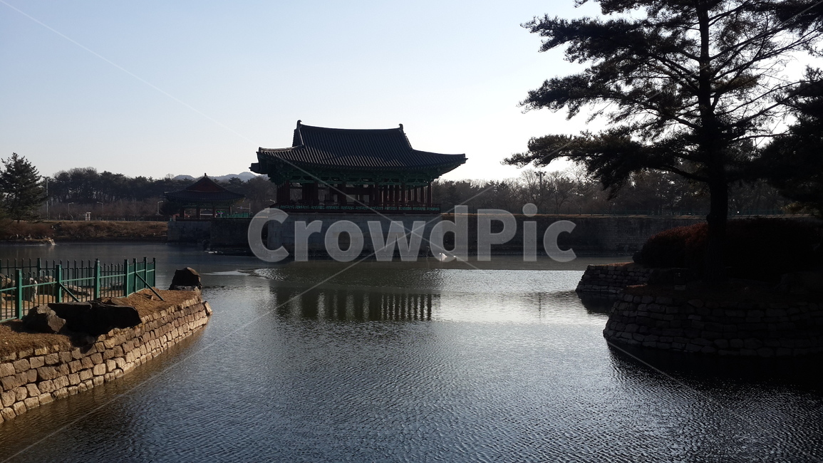 안압지,호수,역사,한옥,경주,나무,기와