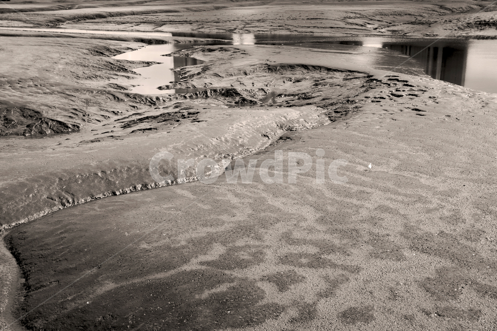 월곳,포구,썰물,갯벌,뻘,모노톤,자연,풍경,nature,landscape,흑백,모노톤,monochrome,black and white,ground,바닥