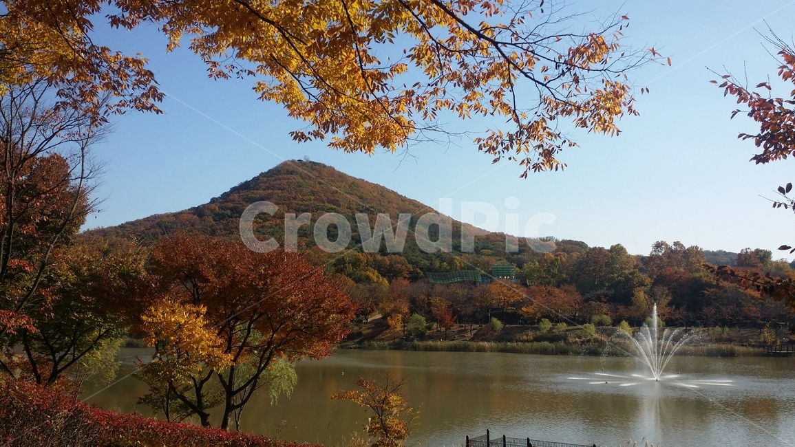 가을,풍경,단풍,자연,분수,가을,계절,fall,autumn,season,자연,풍경,nature,landscape,water,물,outdoors,옥외,tree,나무,plant,식물