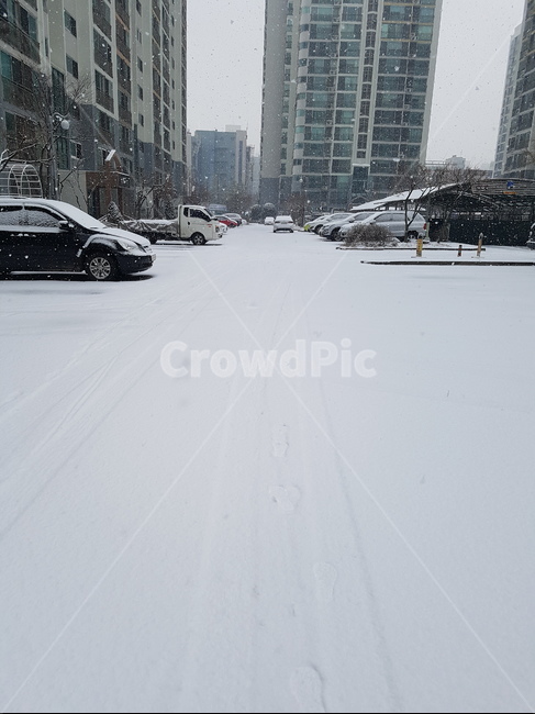 눈,눈오는날,쌓인눈,눈오는풍경,겨울,겨울,계절,winter,season,도시,풍경,city,landscape,snow,storm,폭풍,outdoors,옥외,nature,자연,blizzard,눈보라,transportation,교통,automobile,자동차,vehicle,차량,car,차