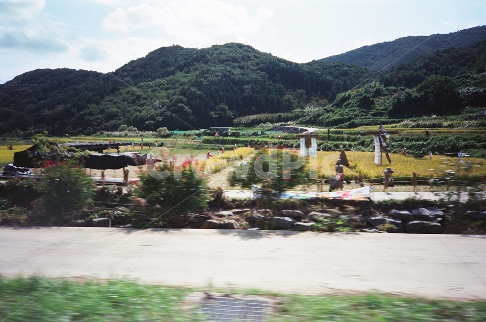 필름,필름사진,시골,달리는차안,힐링,film,filmphoto,countryside,insiderunningcar
