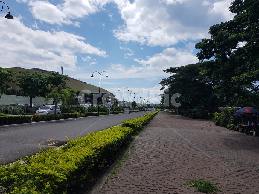 path,통로,walkway,sidewalk,보도,pavement,포장