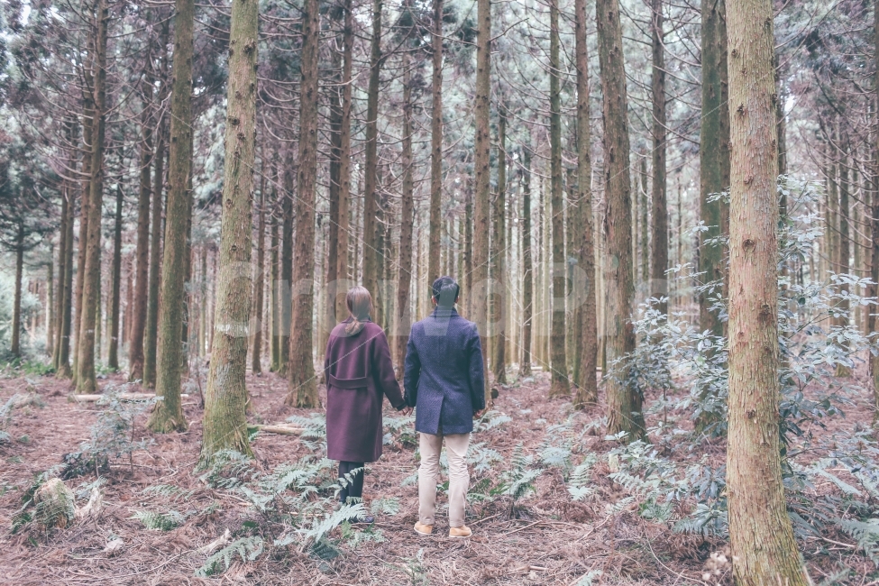 사람,인물,풍경,자연,나무,커플,감성,자연,풍경,nature,landscape,사람,인물,인간,human,person,연인,커플,사랑,lover,couple,연출,컨셉,콘셉,direction,concept,plant,식물,tree,vegetation,초목,woodland,삼림지,forest,숲,outdoors,옥외,land,땅