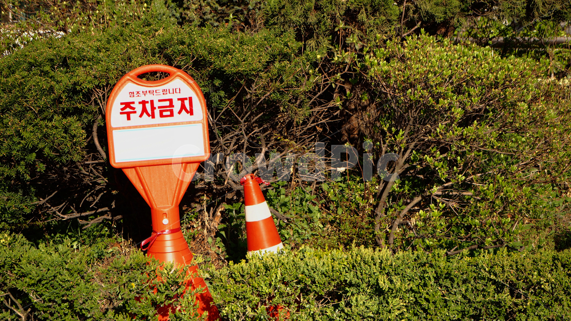주차금지,표지판,풀,plant,식물,자연,nature,주변풍경,인공물,artifact,주차,경고,주차장,감성,mood,무드,감성사진,light,색감,emotion,sensible,feeling,산책,길거리,발견