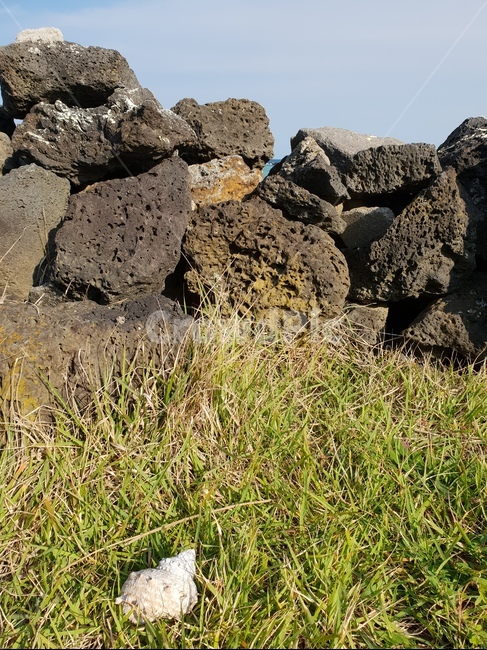 제주도,현무암,자연,바다,소라껍데기,풍경,평화,바닷가,자연,풍경,nature,landscape,rubble,파편,ground,바닥
