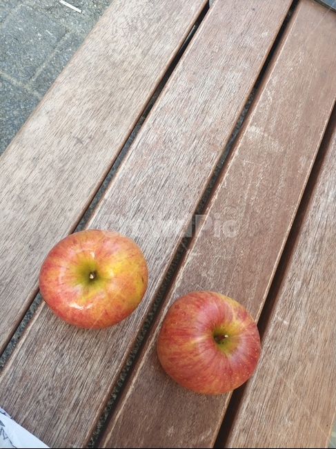food,음식,apple,사과,plant,식물,fruit,과일
