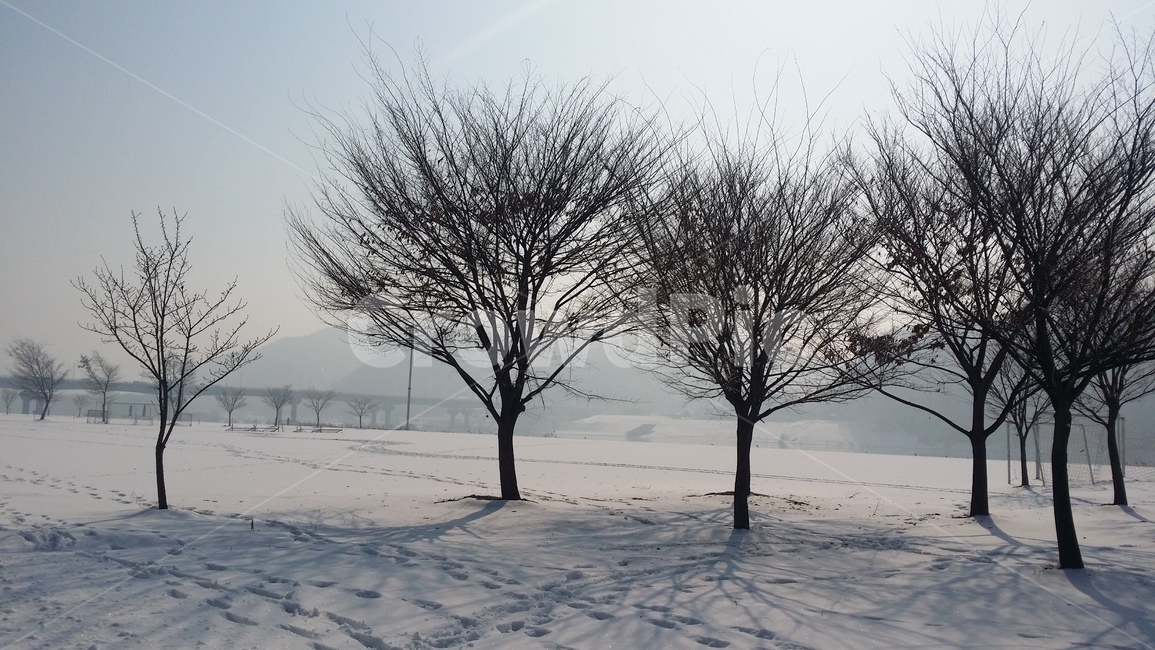 나무,설경,겨울풍경,겨울,snow,winter,tree,발자국,흰색,화이트,풍경,감성,겨울감성,겨울나무,눈,겨울,계절,winter,season,자연,풍경,nature,landscape,outdoors,옥외