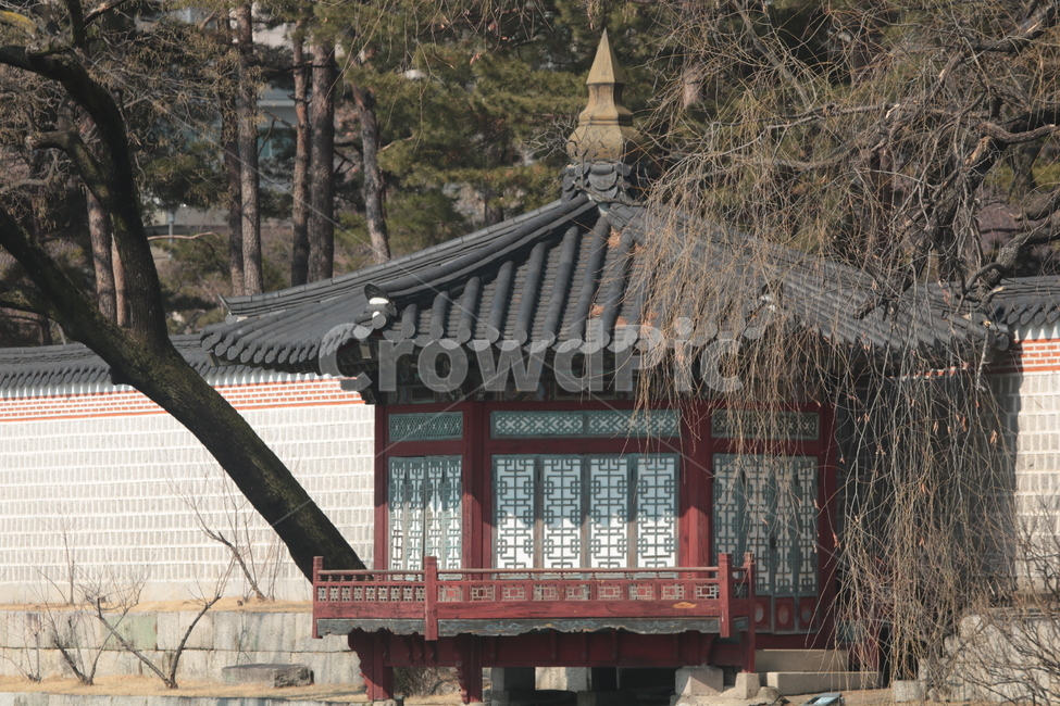 하향정,경복궁,풍경,궁궐,나무,한국전통,한국문화,korean traditional,korean culture,랜드마크,landmark,tourist attraction,한국랜드마크,한국관광지,한국명소,korea landmark,korea tourist attraction