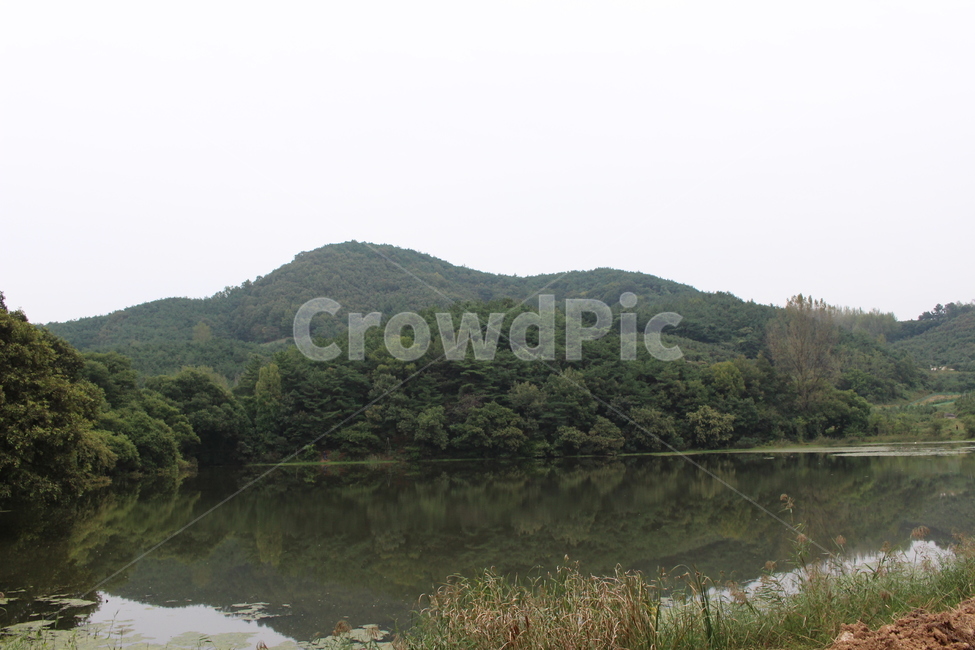 자연,물,반곡지,호수,나무,자연,풍경,nature,landscape