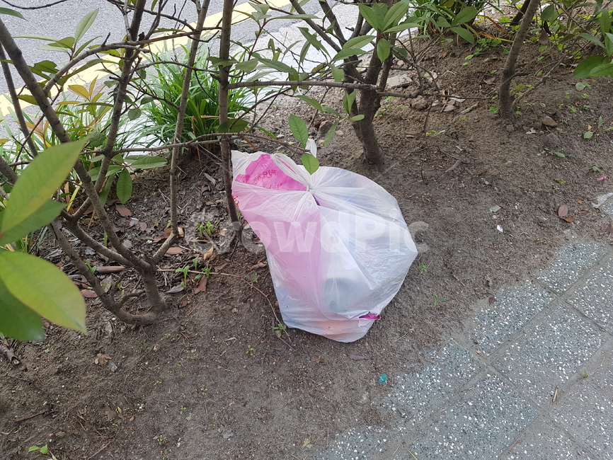 쓰레기,trash,비닐봉투,plasticbag,환경