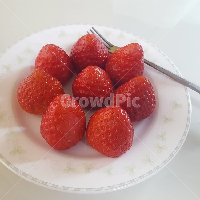 딸기,과일,색감,플레이팅,디저트