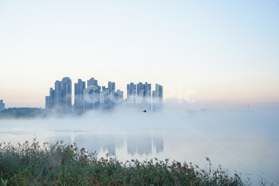 호수,저수지,안개,물안개,새벽,여명,풍경,자연,도시,풍경,city,landscape,한국도시풍경,한국도시경관,korea cityscape,nature,weather,날씨