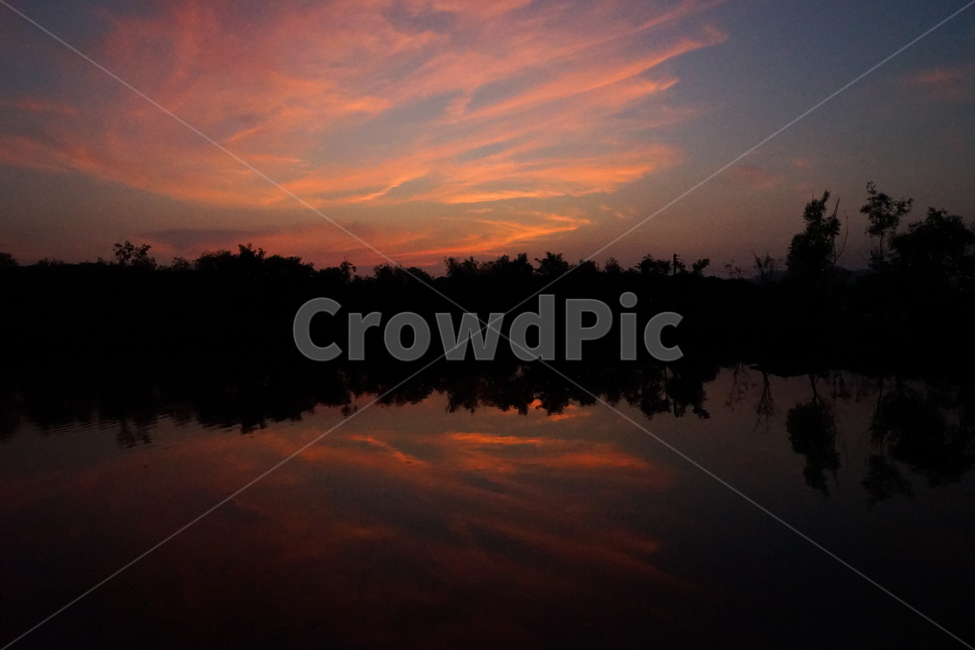 석양,해넘이,노을,나무,풍경,자연,풍경,nature,landscape,outdoors,옥외,dusk,황혼,sunset,일몰,dawn,새벽,sky,하늘,red sky,붉은 하늘