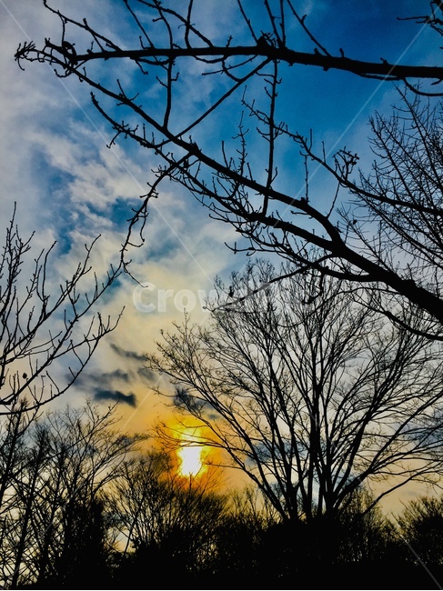 nature,자연,outdoors,옥외,노을