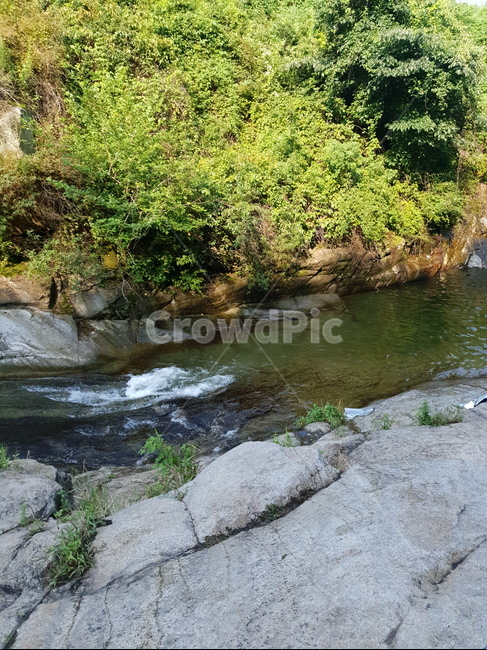 계곡,여름계곡,나무,팔공산,동산계곡,시원한,물줄기,자연풍경,대구명소,경북명소