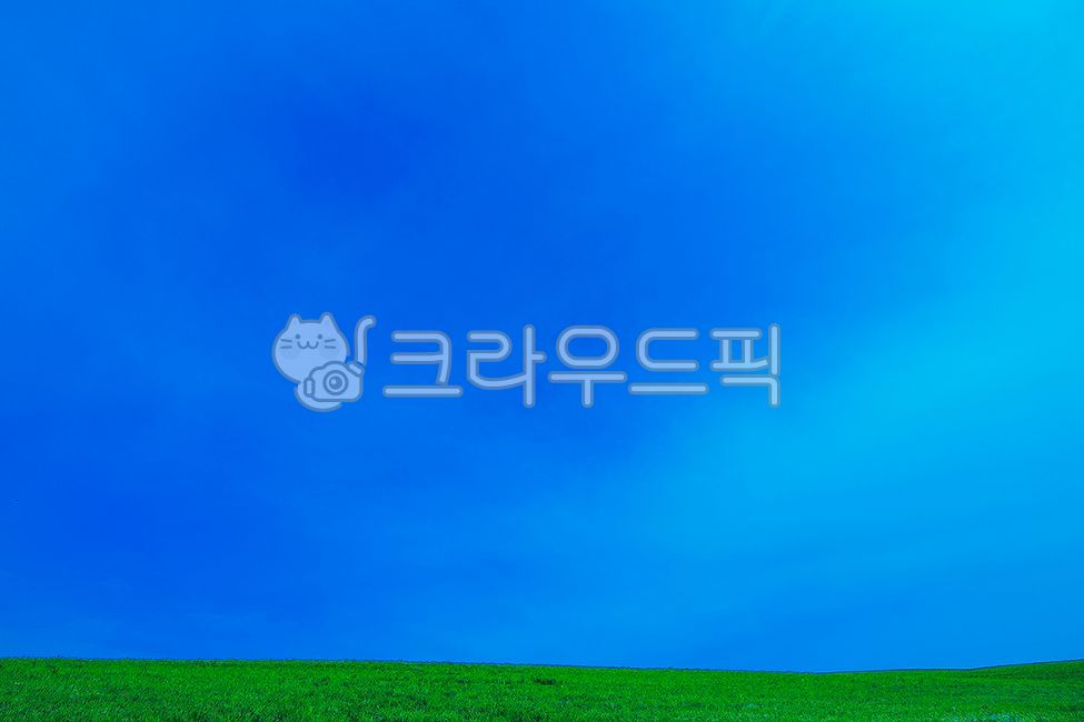 하늘,파란하늘,푸른하늘,맑은날,구름없는하늘,들판,초원,잔디,초록색,여름풍경,자연풍경,감성사진,미니멀리즘,단순한,배경이미지,디자인소스,카피스페이스,청정구역,힐링,여유,수평선,지평선,평화로운,생동감,한국의자연,BlueSky,ClearSky,GreenField,Grass,Meadow,Nature,Landscape,Summer,Fresh,Minimalist,Background,CopySpace,Horizon,Peaceful,Bright
