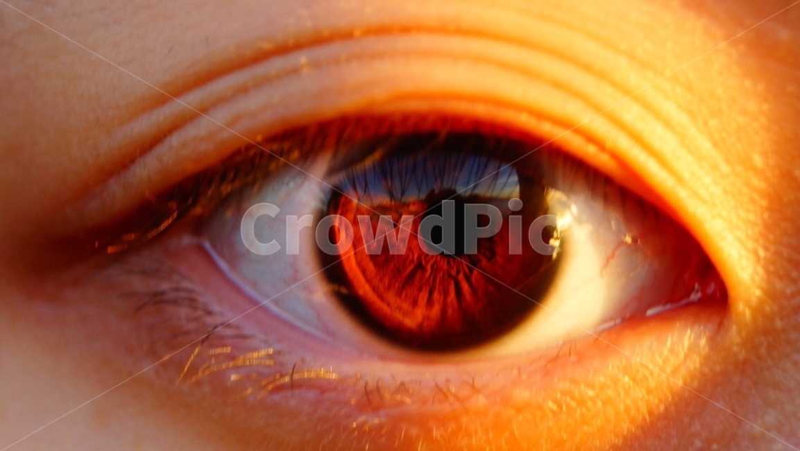 눈,홍채,자연,사람,eye,nature,person,human,iris,신체일부,몸,body